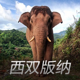 “70后”博士履新深圳金融监管局局长，曾多次强调风险防范
